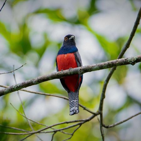 Shimiyacu Amazon Lodge Tarapoto Dış mekan fotoğraf