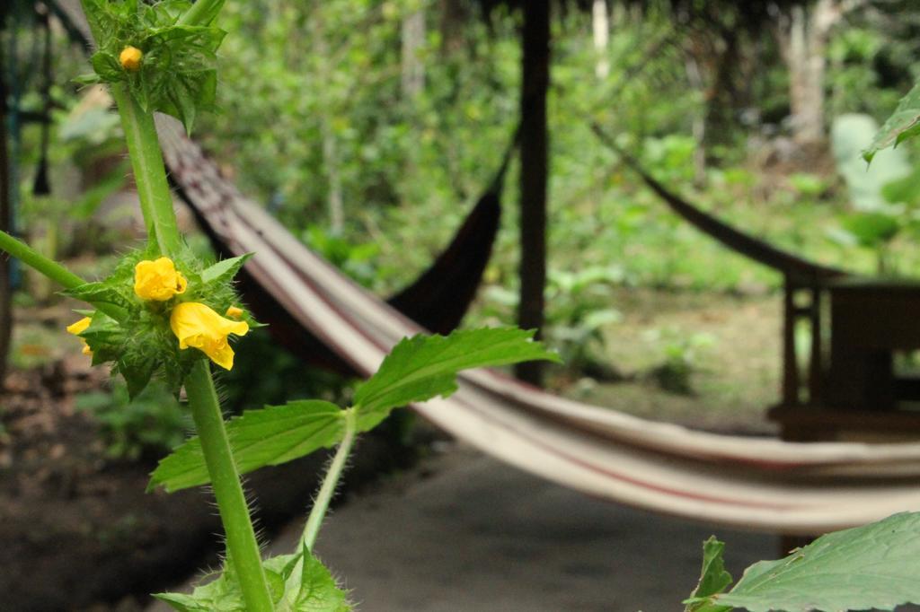 Shimiyacu Amazon Lodge Tarapoto Dış mekan fotoğraf