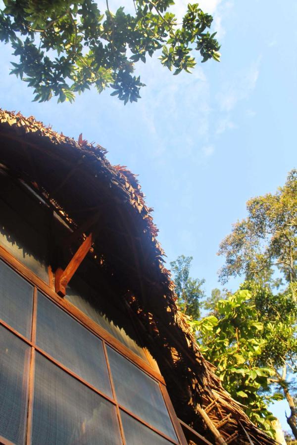 Shimiyacu Amazon Lodge Tarapoto Dış mekan fotoğraf