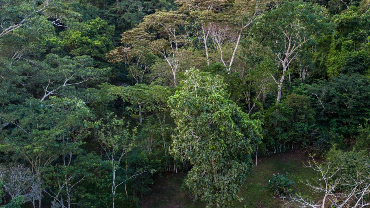 Shimiyacu Amazon Lodge Tarapoto Dış mekan fotoğraf