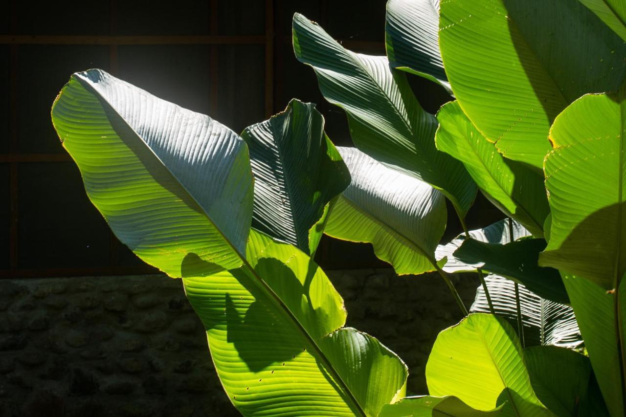Shimiyacu Amazon Lodge Tarapoto Dış mekan fotoğraf