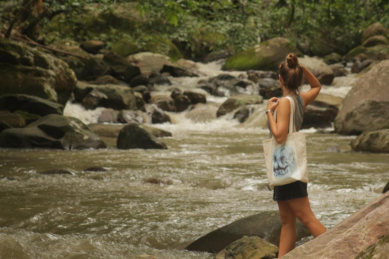 Shimiyacu Amazon Lodge Tarapoto Dış mekan fotoğraf