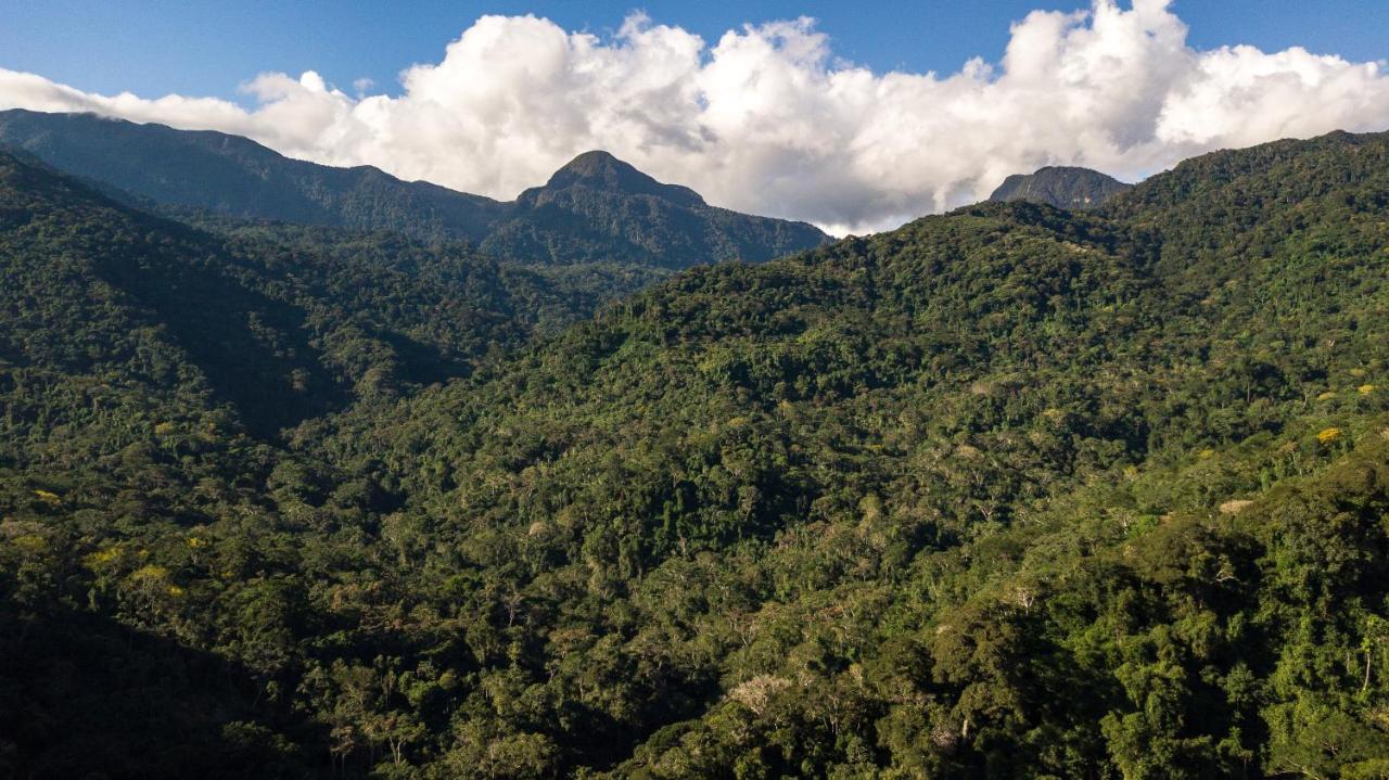 Shimiyacu Amazon Lodge Tarapoto Dış mekan fotoğraf