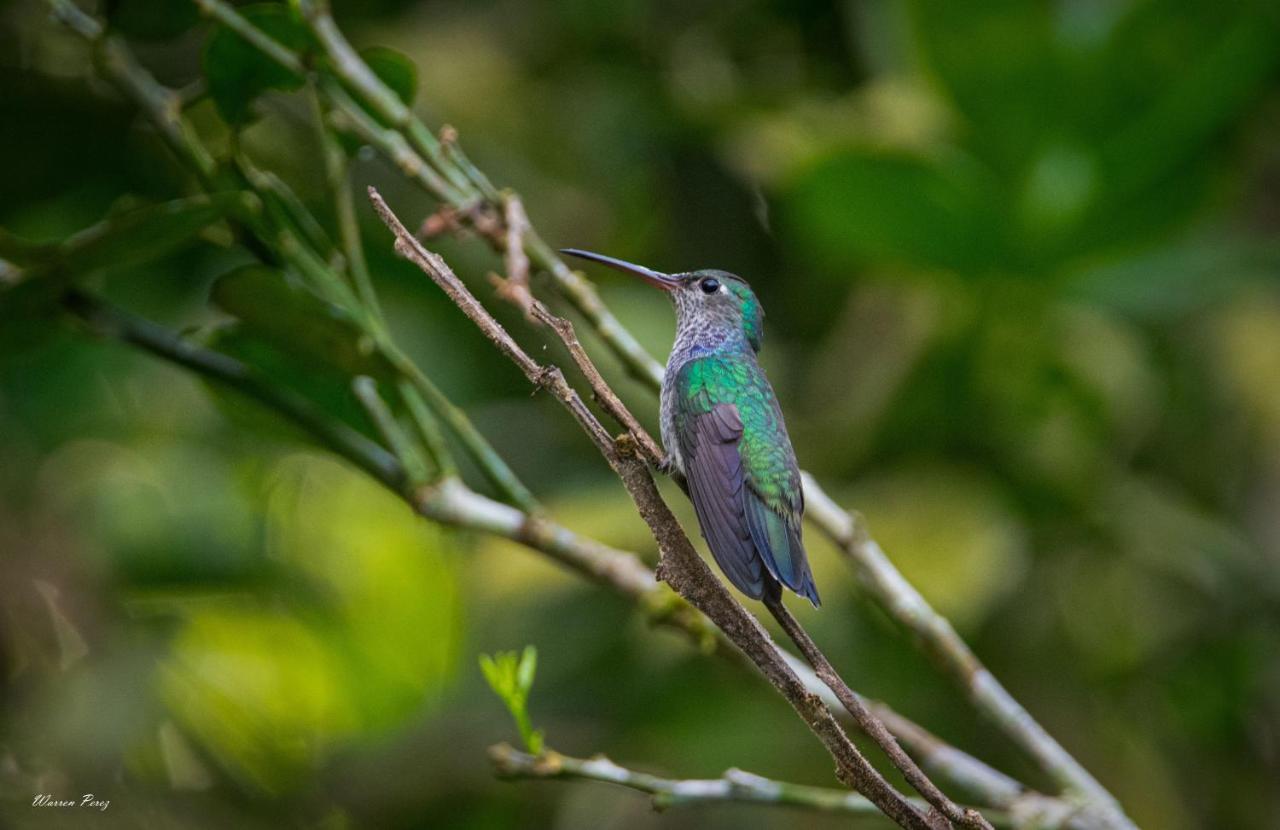 Shimiyacu Amazon Lodge Tarapoto Dış mekan fotoğraf