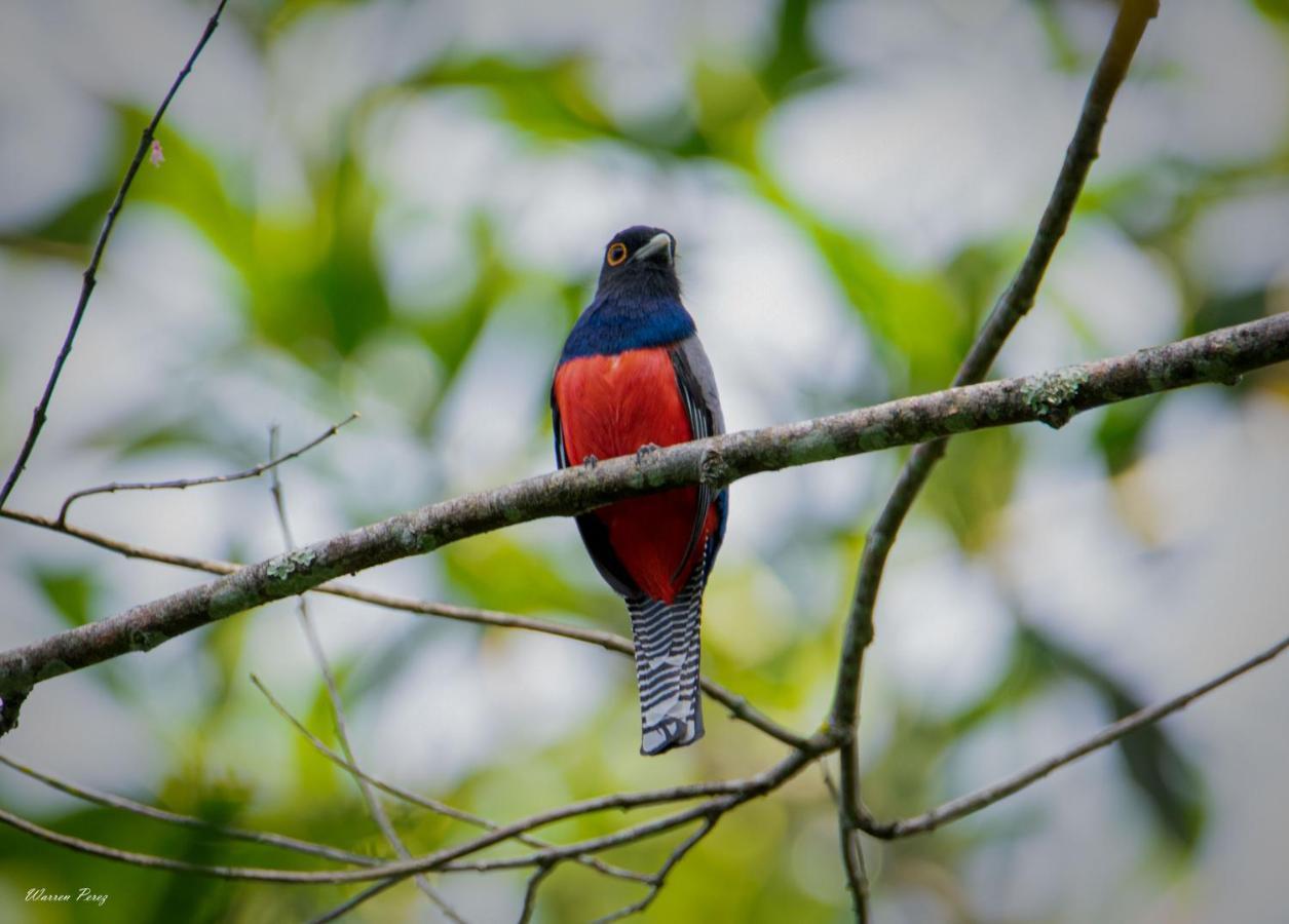 Shimiyacu Amazon Lodge Tarapoto Dış mekan fotoğraf