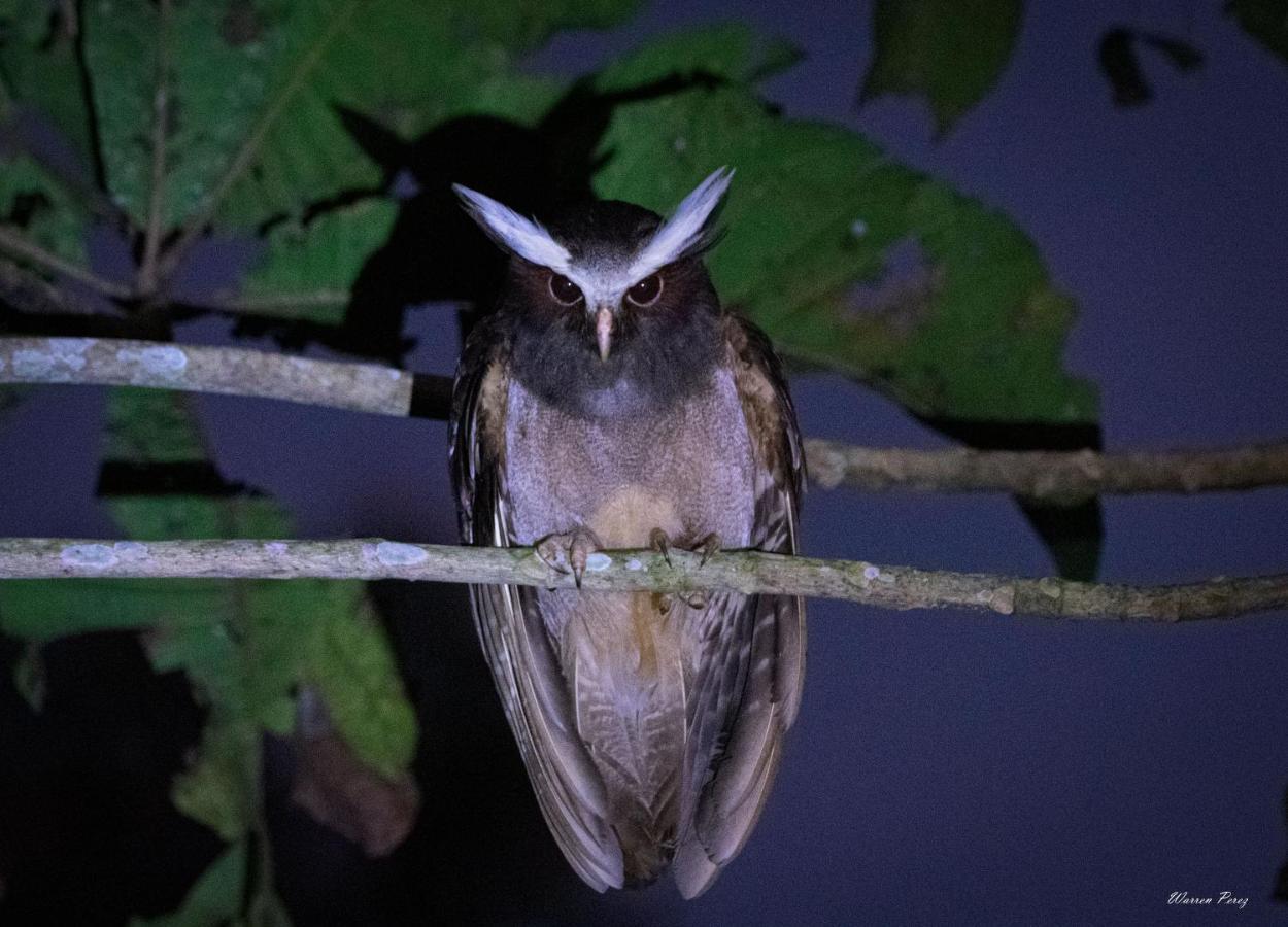 Shimiyacu Amazon Lodge Tarapoto Dış mekan fotoğraf